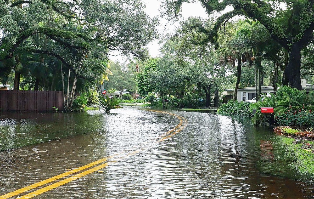 Fort Lauderdale Residential Street Flood
